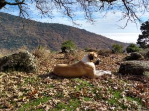 IMG-20181213-WA0013