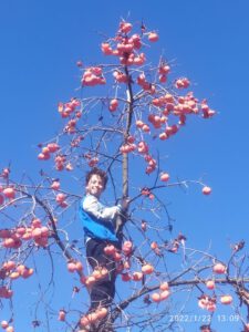IMG-20220122-WA0001