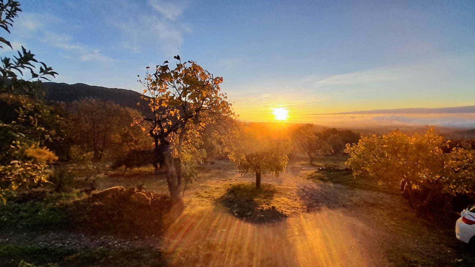 PHOTO-2024-11-08-13-09-33