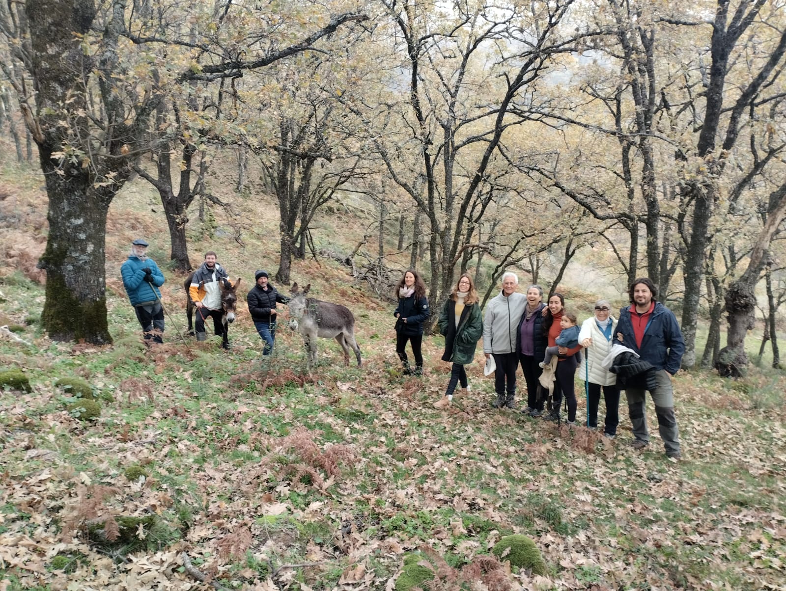 Puente de la Inmaculada 2024